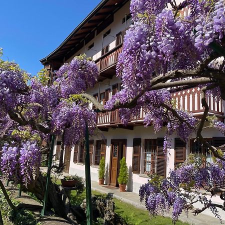 Dimora Fiorita Senior My Holiday Home Varallo Eksteriør bilde