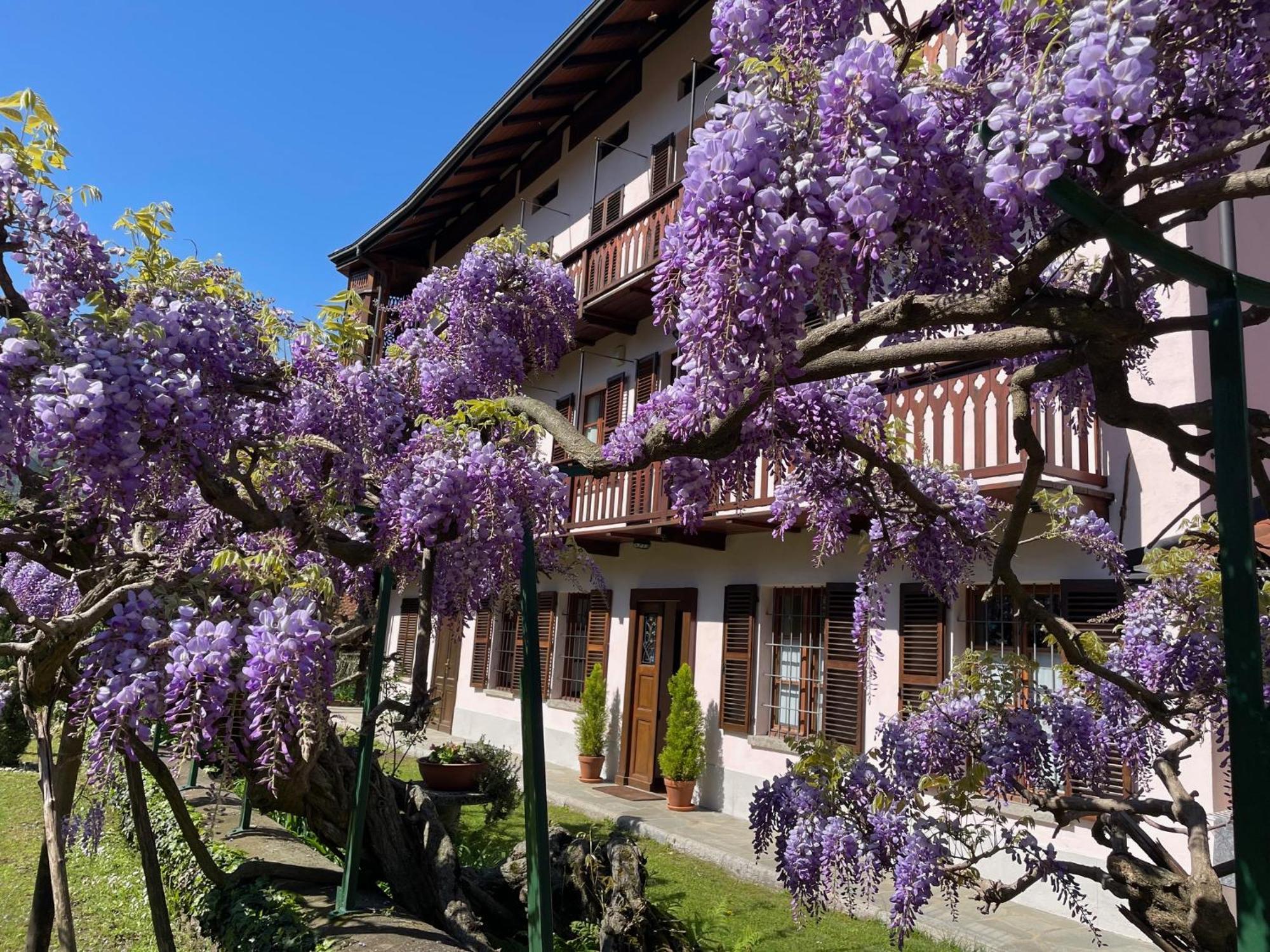 Dimora Fiorita Senior My Holiday Home Varallo Eksteriør bilde